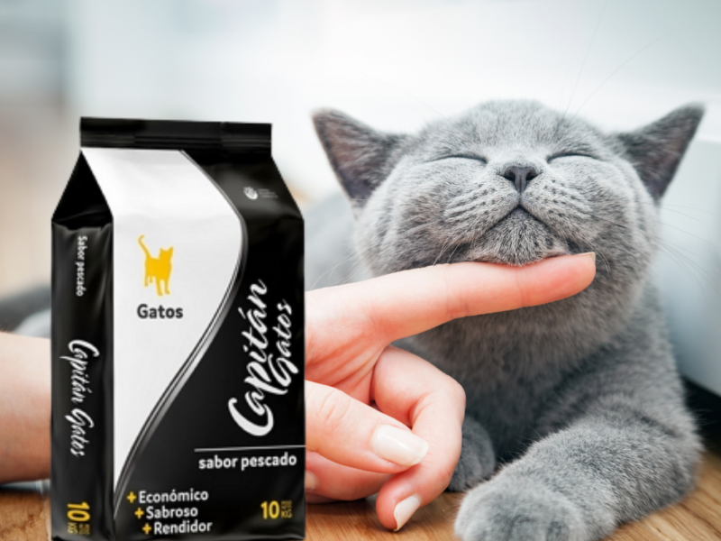 Capitán Gatos